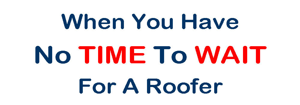 Shingle Roof Bid San Antonio